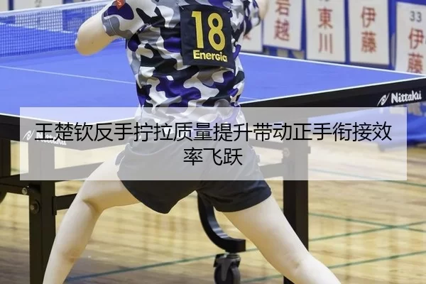 wang-chu-qin-fan-shou-ning-la-zhi-liang-ti-sheng-dai-dong-zheng-shou-xian-jie-xiao-lv-fei-yue-3-969.jpg