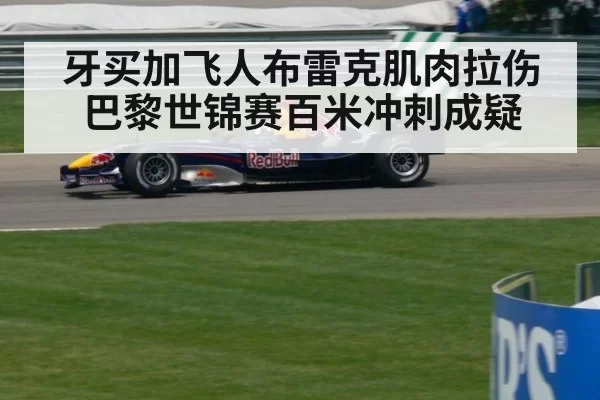 牙买加飞人布雷克肌肉拉伤巴黎世锦赛百米冲刺成疑